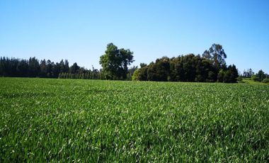 Parcela La Rinconada, Vilcun