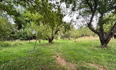 Parcela La Rinconada, Vilcun