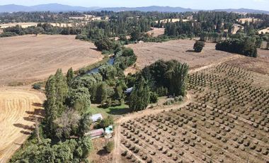 Parcela La Rinconada, Vilcun