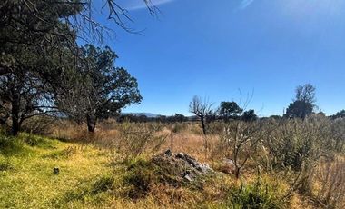 Venta de Terreno en Tlaxcala, Cd. Industrial Xicohténcatl