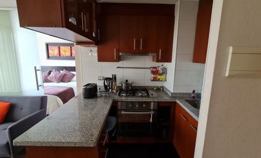 Departamento completamente moblado en Concepción
