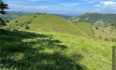 Venta Finca Ganadera Maceo Antioquia