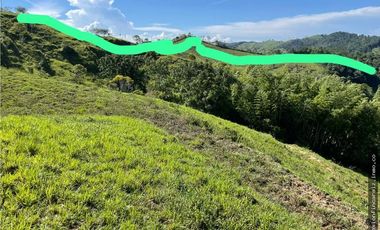 Venta Finca Ganadera Maceo Antioquia