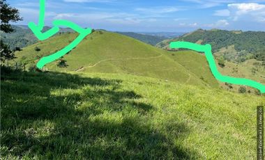 Venta Finca Ganadera Maceo Antioquia