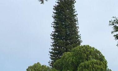 VENDO BONITA CASA CON ALBERCA EN TETELCINGO CUAUTLA MORELOS