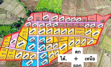 Land sales start 60sqWa, 270,000baht, free transfer, water, electricity, Ban Dok Daeng Road, Sangaban Subdistrict, Doi Saket, Chiang Mai