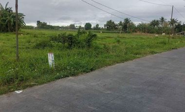 FOR SALE! 20,000 sqm Vacant Lot at Padre Garcia Batangas