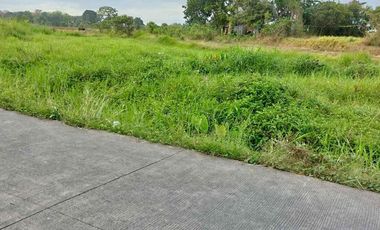 FOR SALE! 20,000 sqm Vacant Lot at Padre Garcia Batangas