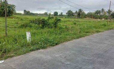 FOR SALE! 20,000 sqm Vacant Lot at Padre Garcia Batangas