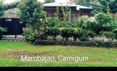 HOUSE & LOT FOR SALE