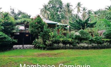 HOUSE & LOT FOR SALE