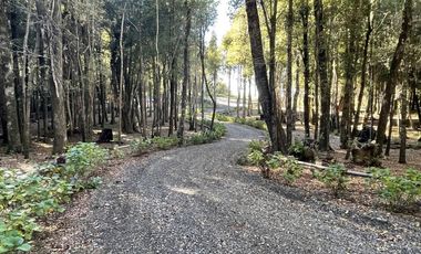 Z O N A S U R . C L En venta Sitio con bodega. Villarrica.