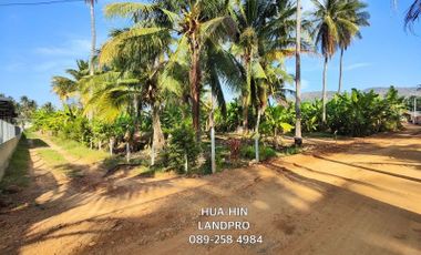 357 TW | Hot! Home Building Plot  Coconut Tree Covered - Small Pond