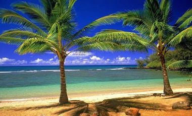 Beach House For Sale Aduna Danao Cebu City