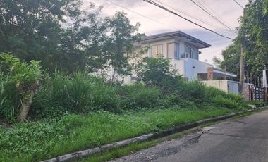 Residential Lot for Sale in United Paranaque Subdivision 4, Paranaque City