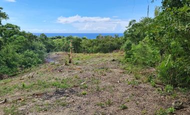 5,011 sq.m TITLED Overlooking lot for sale in Tayong Occidental Loay, Bohol