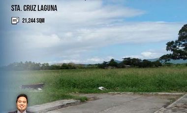 Agricultural Lot for Sale near Bo. Calios, Sta. Cruz Laguna