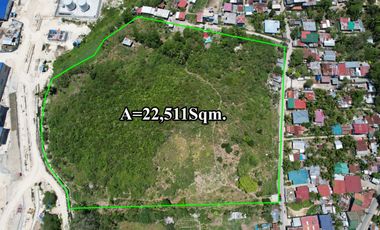 Expansive Residential Lot for Sale in Compostela, Cebu