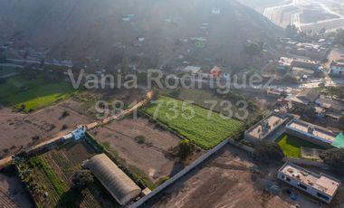 Vendo Terreno Pachacamac!!