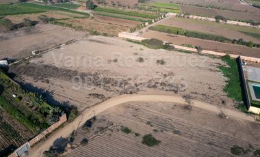 Vendo Terreno Pachacamac!!