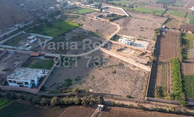 Vendo Terreno Pachacamac!!