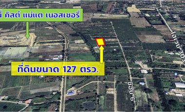 Land for sale in San Kamphaeng, Chiang Mai