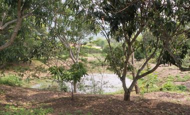 VENTA FINCA SECTOR LA MESA