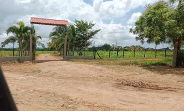 SE VENDE FINCA GANADERA DE 450 HECTÁREAS, EN SAN PELAYO CORDOBA 30 MILLONES HECTAREA