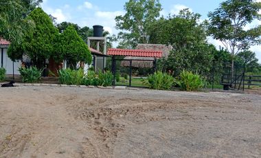 SE VENDE FINCA GANADERA DE 450 HECTÁREAS, EN SAN PELAYO CORDOBA 30 MILLONES HECTAREA