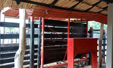 SE VENDE FINCA GANADERA DE 450 HECTÁREAS, EN SAN PELAYO CORDOBA 30 MILLONES HECTAREA