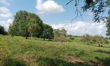 SE VENDE FINCA GANADERA DE 450 HECTÁREAS, EN SAN PELAYO CORDOBA 30 MILLONES HECTAREA