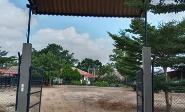 SE VENDE FINCA GANADERA DE 450 HECTÁREAS, EN SAN PELAYO CORDOBA 30 MILLONES HECTAREA