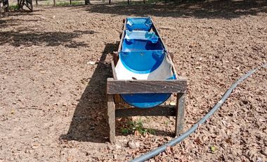 SE VENDE FINCA GANADERA DE 450 HECTÁREAS, EN SAN PELAYO CORDOBA 30 MILLONES HECTAREA