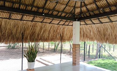 SE VENDE FINCA GANADERA DE 450 HECTÁREAS, EN SAN PELAYO CORDOBA 30 MILLONES HECTAREA