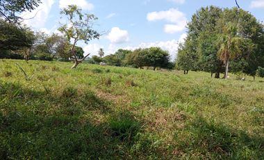 SE VENDE FINCA GANADERA DE 450 HECTÁREAS, EN SAN PELAYO CORDOBA 30 MILLONES HECTAREA