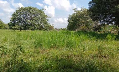 SE VENDE FINCA GANADERA DE 450 HECTÁREAS, EN SAN PELAYO CORDOBA 30 MILLONES HECTAREA