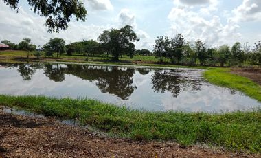 SE VENDE FINCA GANADERA DE 450 HECTÁREAS, EN SAN PELAYO CORDOBA 30 MILLONES HECTAREA
