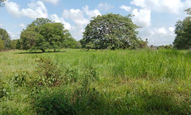 SE VENDE FINCA GANADERA DE 450 HECTÁREAS, EN SAN PELAYO CORDOBA 30 MILLONES HECTAREA