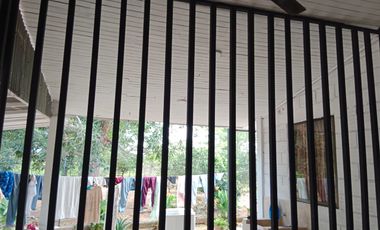 SE VENDE FINCA GANADERA DE 450 HECTÁREAS, EN SAN PELAYO CORDOBA 30 MILLONES HECTAREA