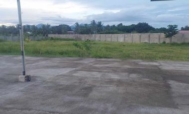 HOUSE AND LOT FOR SALE IN TANJAY CITY ID 14843
