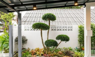 3 bed townhouse for sale in Pa Daet, Muang Chiang Mai