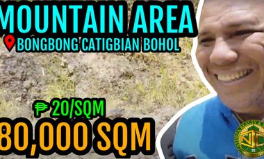 Lot For Sale 8 Hectares In Catigbian Bohol 20/sqm