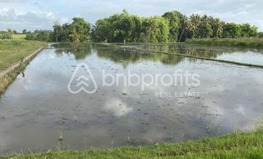 Bali Bliss: Your Slice of Serenity in Kedungu – Prime Land for Your Dream Escape!