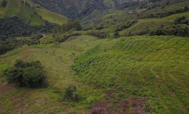 FINCA Fenicia, Riofrío, Valle del Cauca, Colombia