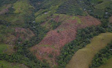 FINCA Fenicia, Riofrío, Valle del Cauca, Colombia