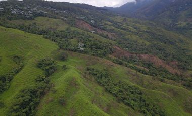 FINCA Fenicia, Riofrío, Valle del Cauca, Colombia