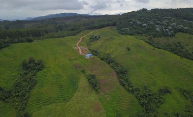 FINCA Fenicia, Riofrío, Valle del Cauca, Colombia
