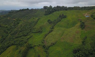 FINCA Fenicia, Riofrío, Valle del Cauca, Colombia