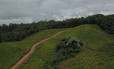FINCA Fenicia, Riofrío, Valle del Cauca, Colombia