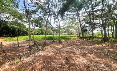 LOTES EN VENTA, SECTOR PALMA VERDE MONTERIA.